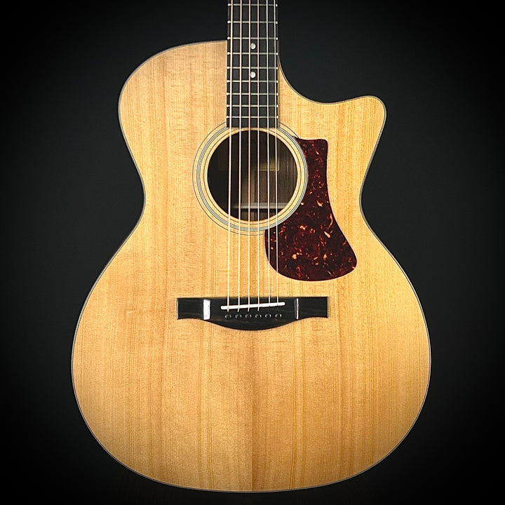 Eastman AC222CE