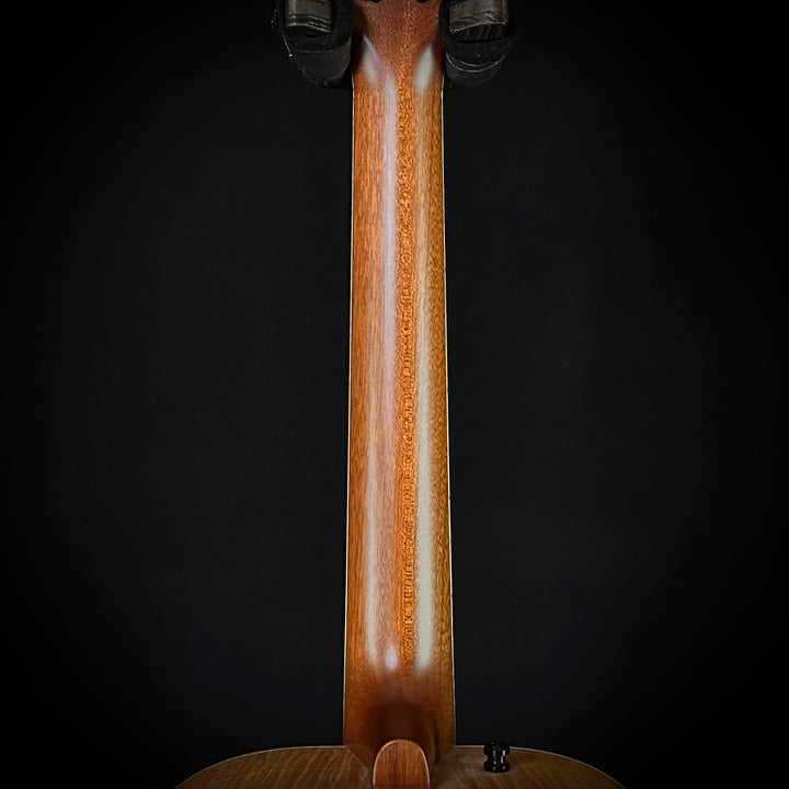 Beard 2024 Legacy E Natural (used)