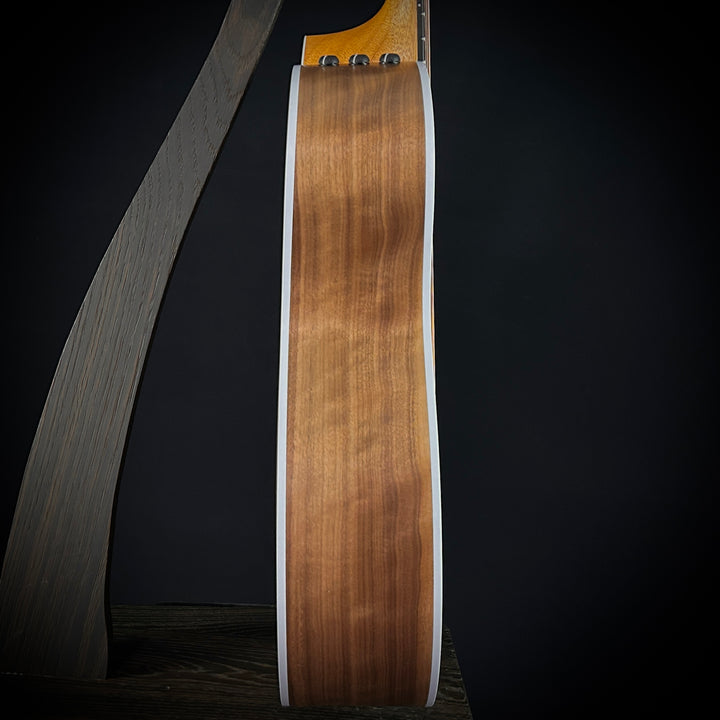 Taylor 214CE