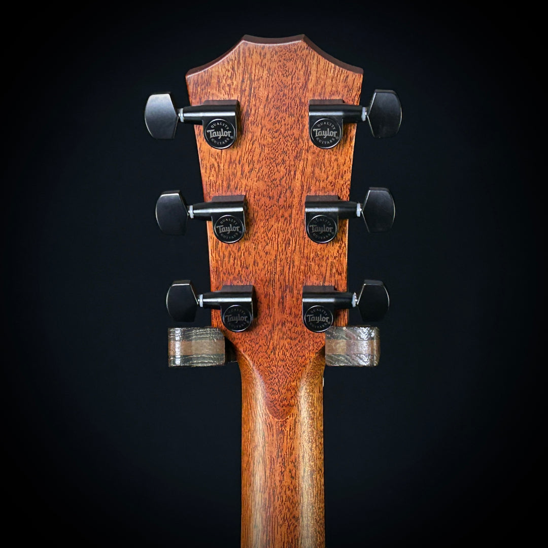 Taylor 214CE Deluxe - Special Edition Black Top