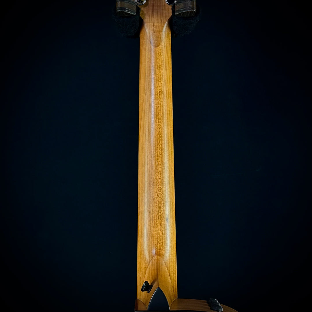 Taylor 112CE - Sapele