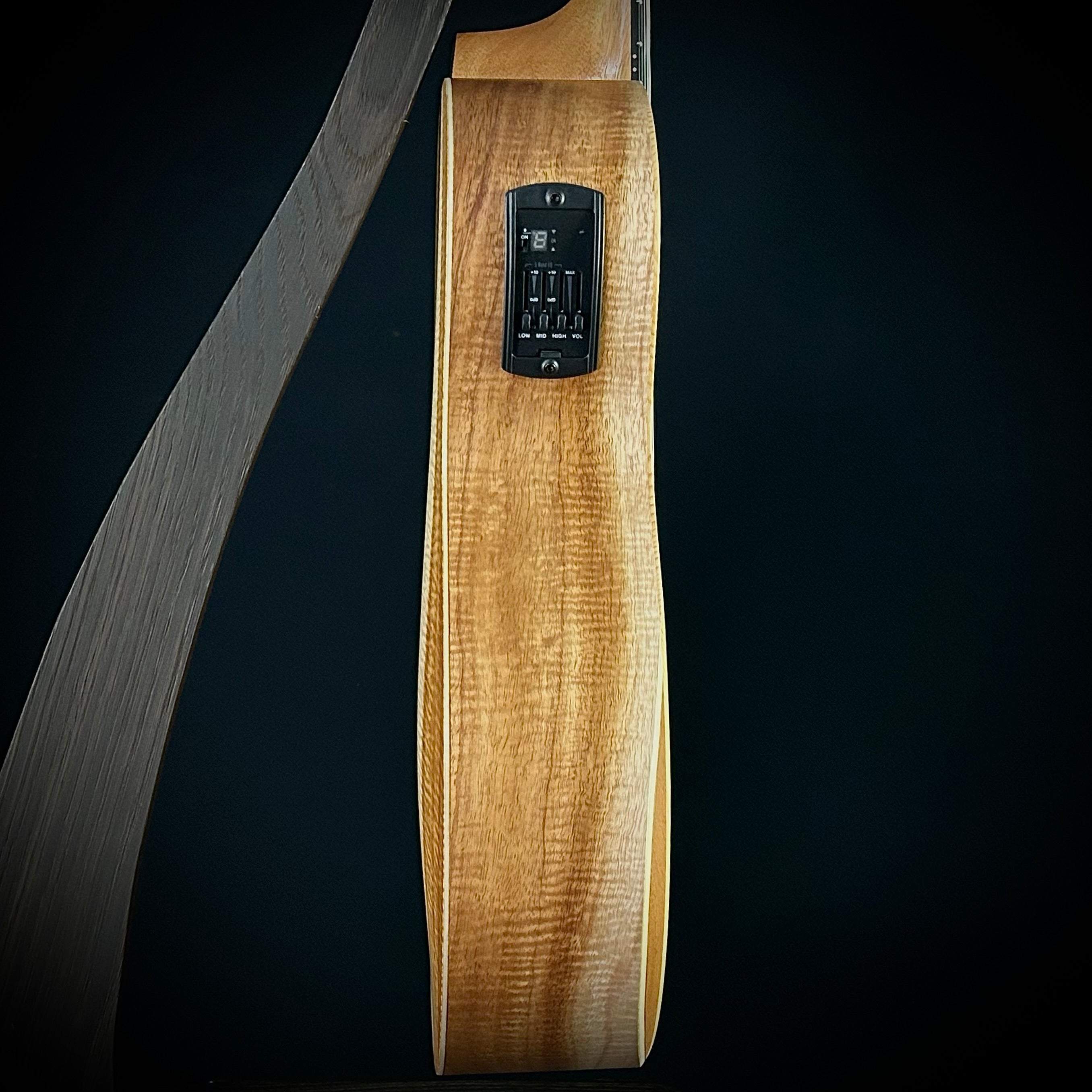 Taylor Academy 12E-N LTD - AA Koa – Music Villa MT