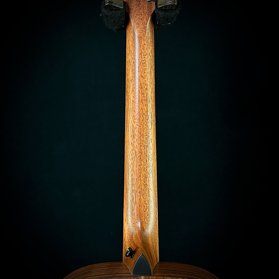 Taylor Jacob Collier Signature Model 5-String