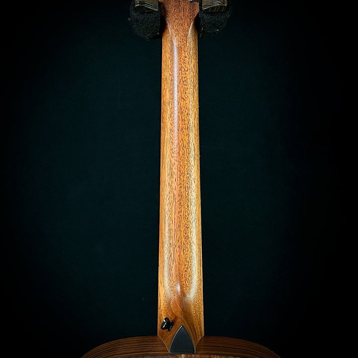 Taylor Jacob Collier Signature Model 5-String