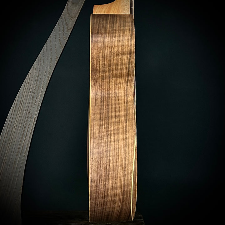 Taylor Jacob Collier Academy 22E - 5 String