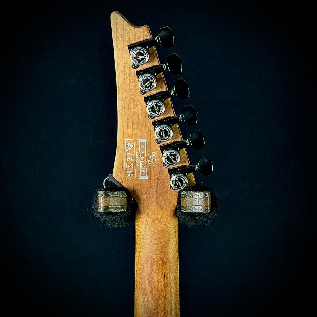 Ibanez RGD61