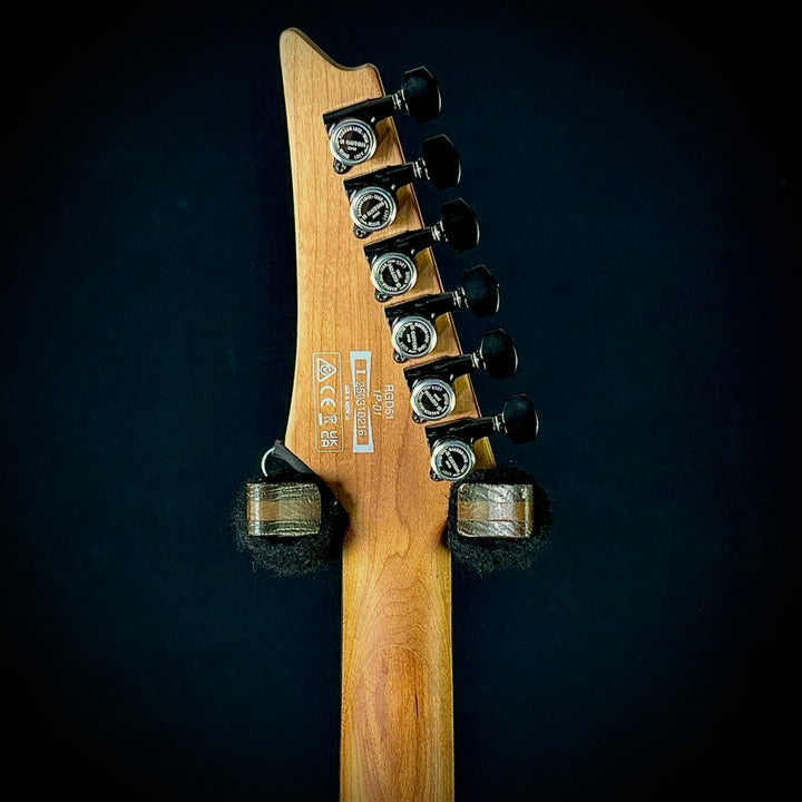 Ibanez RGD61
