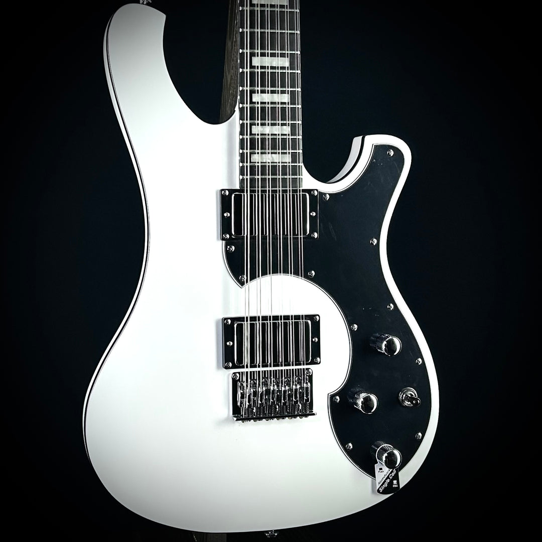 Schecter Stargazer 12