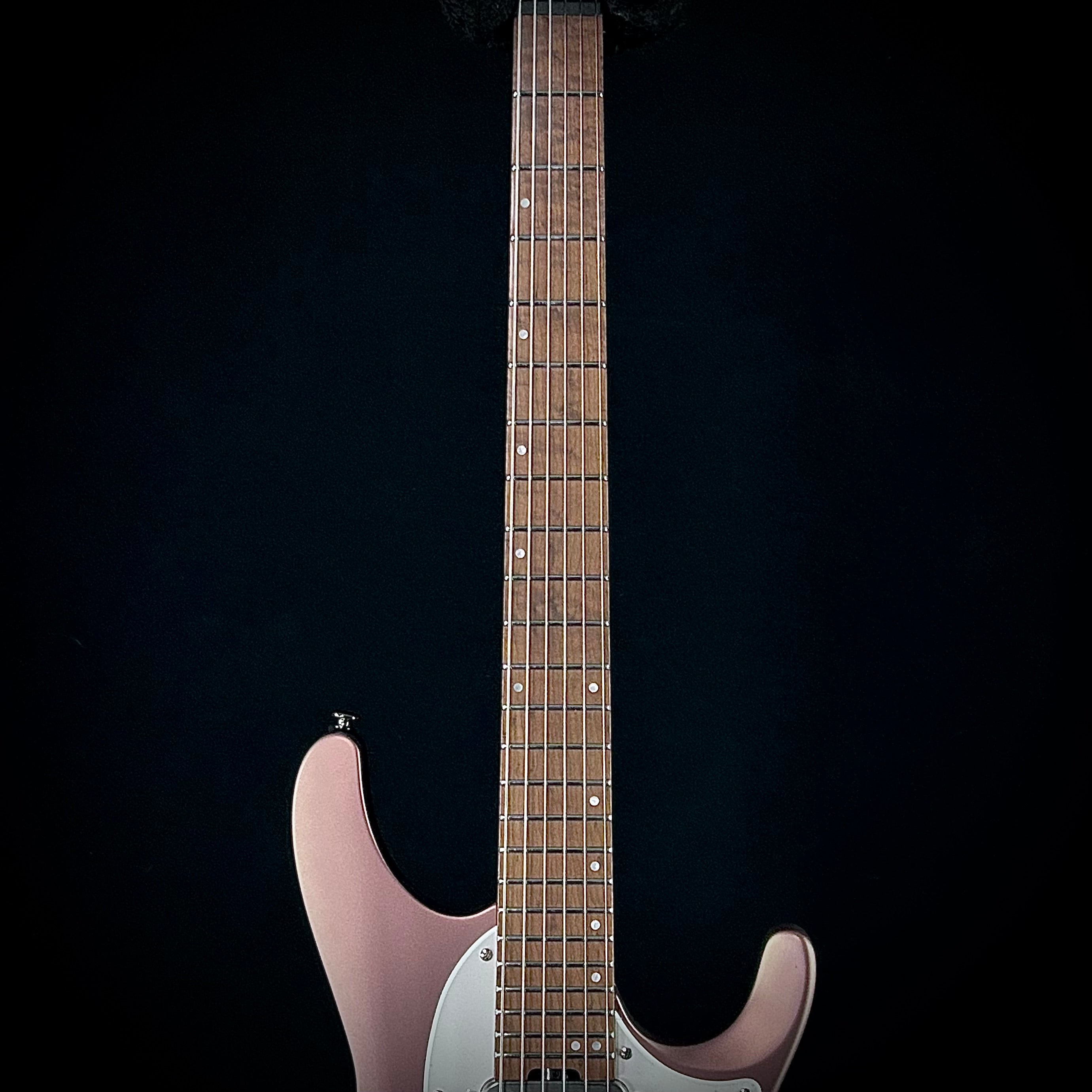 Ibanez Q54 – Music Villa MT