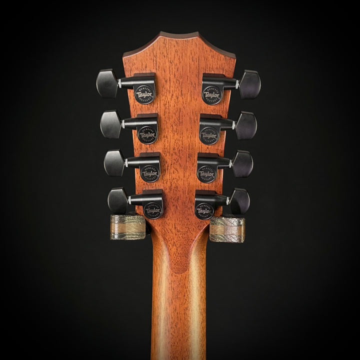 Taylor MV Custom 9-String - Grand Auditorium