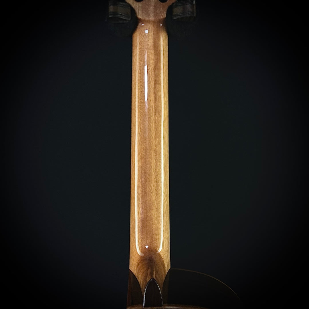 Cordoba Orchestra CE - Cedar
