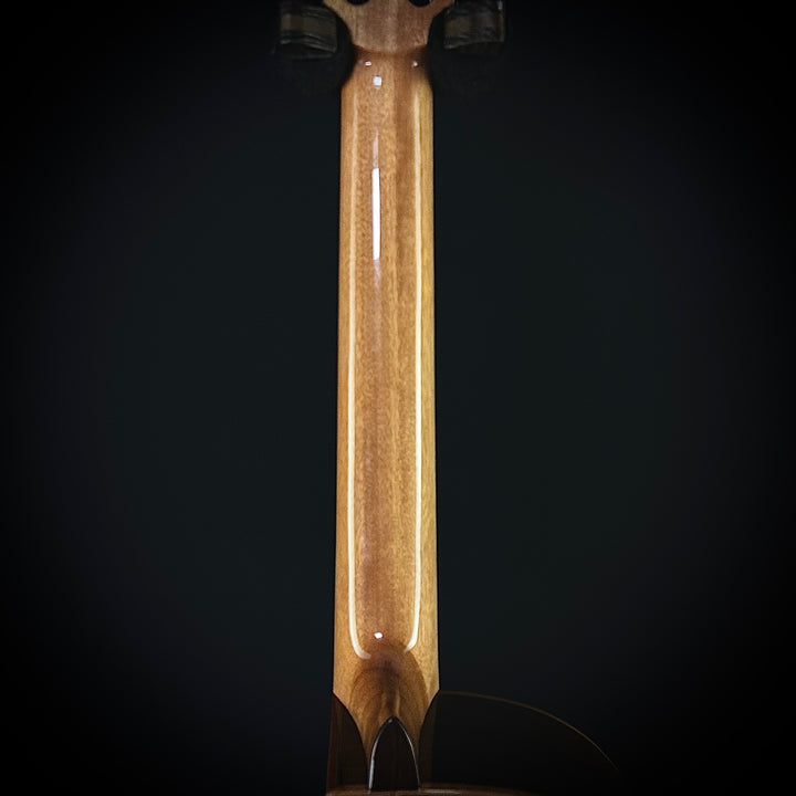 Cordoba Orchestra CE - Cedar