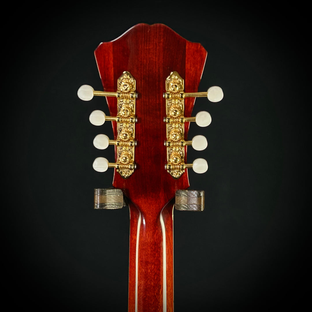 Eastman MDC805 - Mandocello