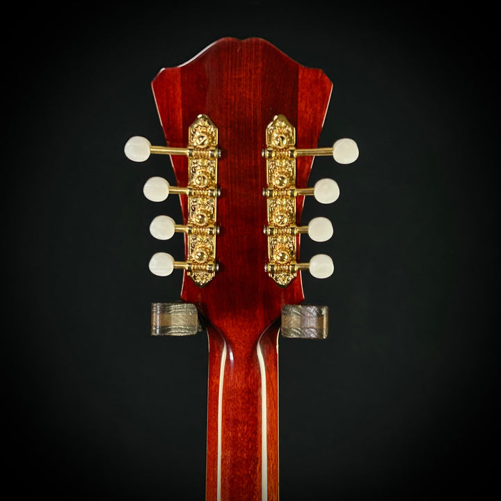 Eastman MDC805 - Mandocello
