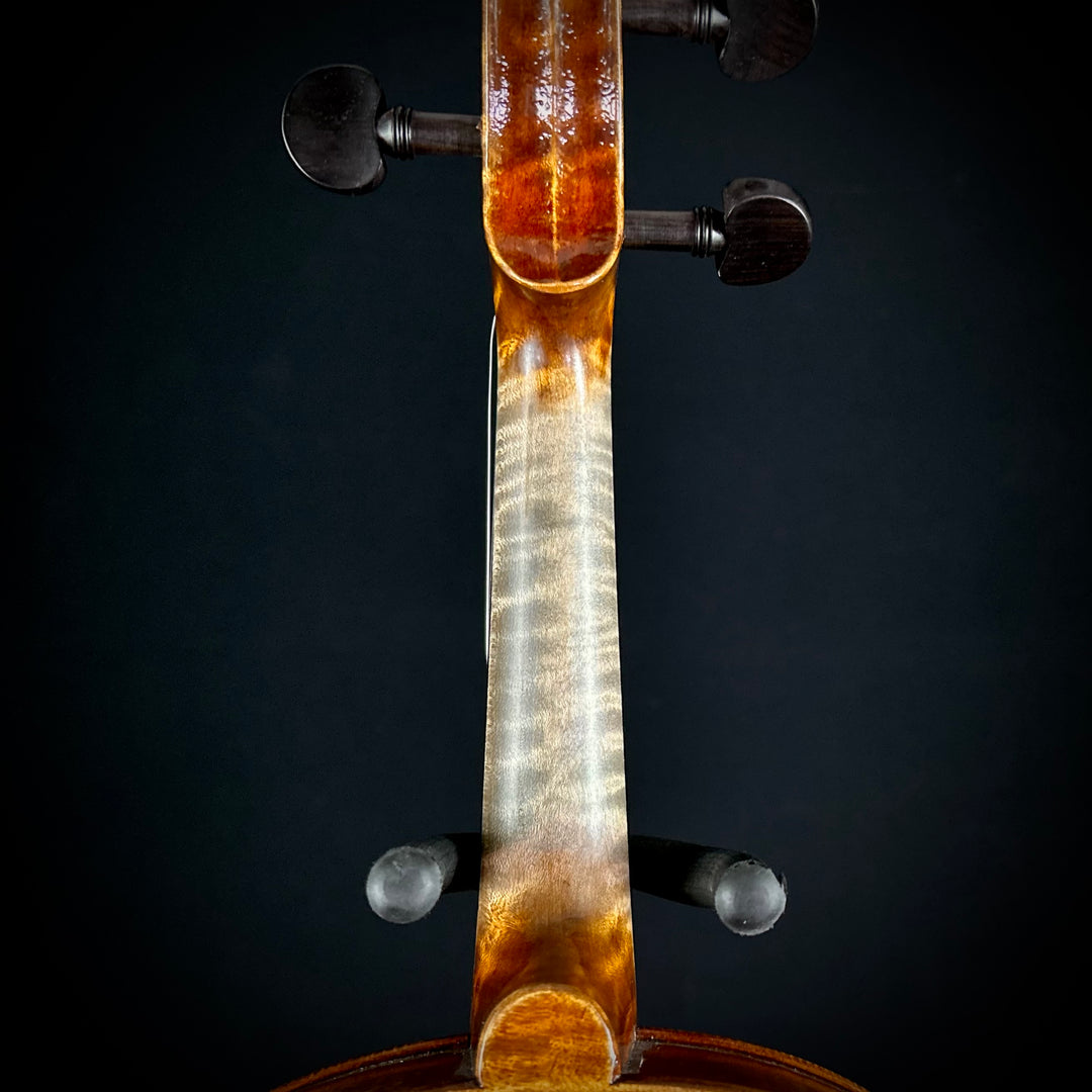 Maple leaf Haddock 16” Viola