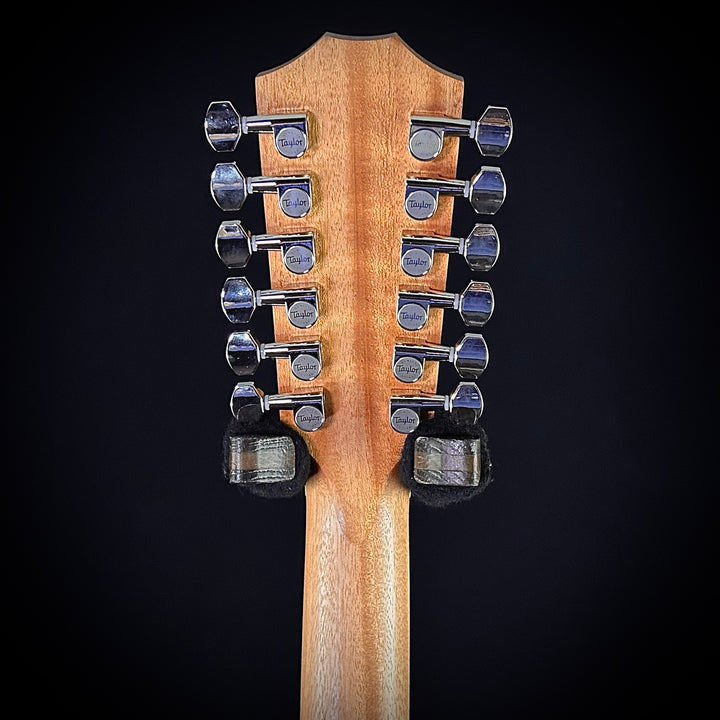 Taylor 254ce Plus - 12-String