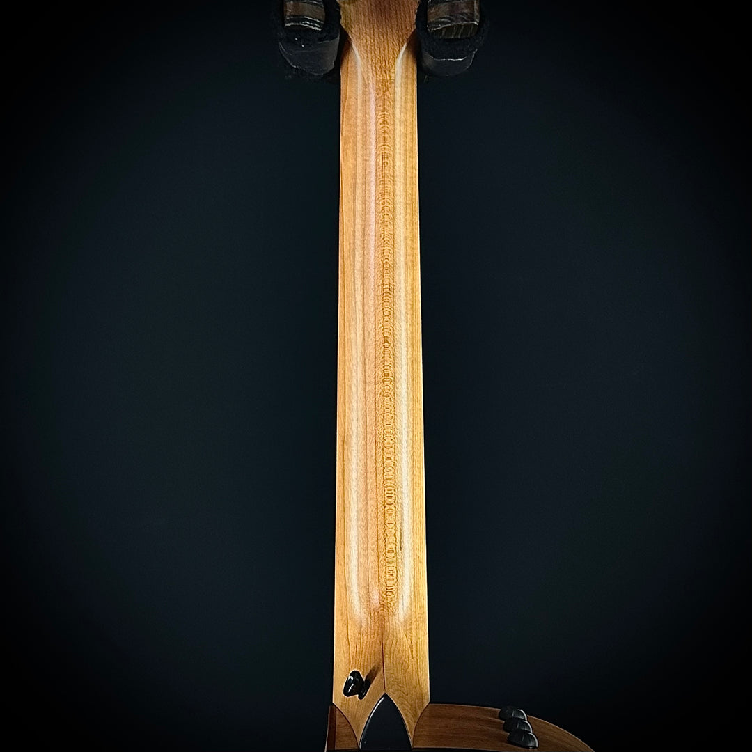 Taylor 112CE - Sapele
