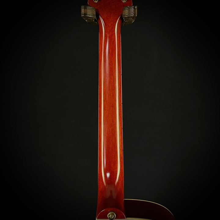 Epiphone Hummingbird Standard EC