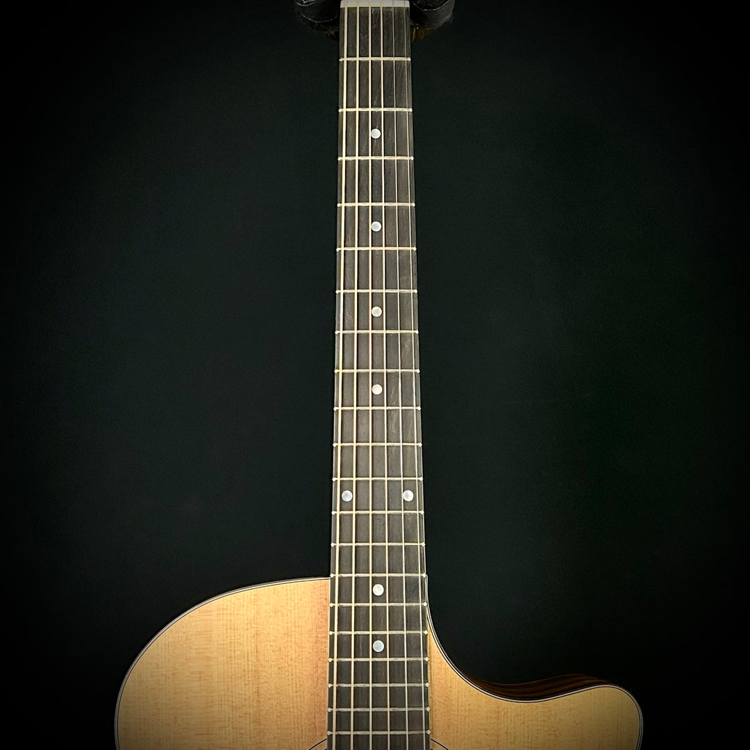 Eastman AC222CE