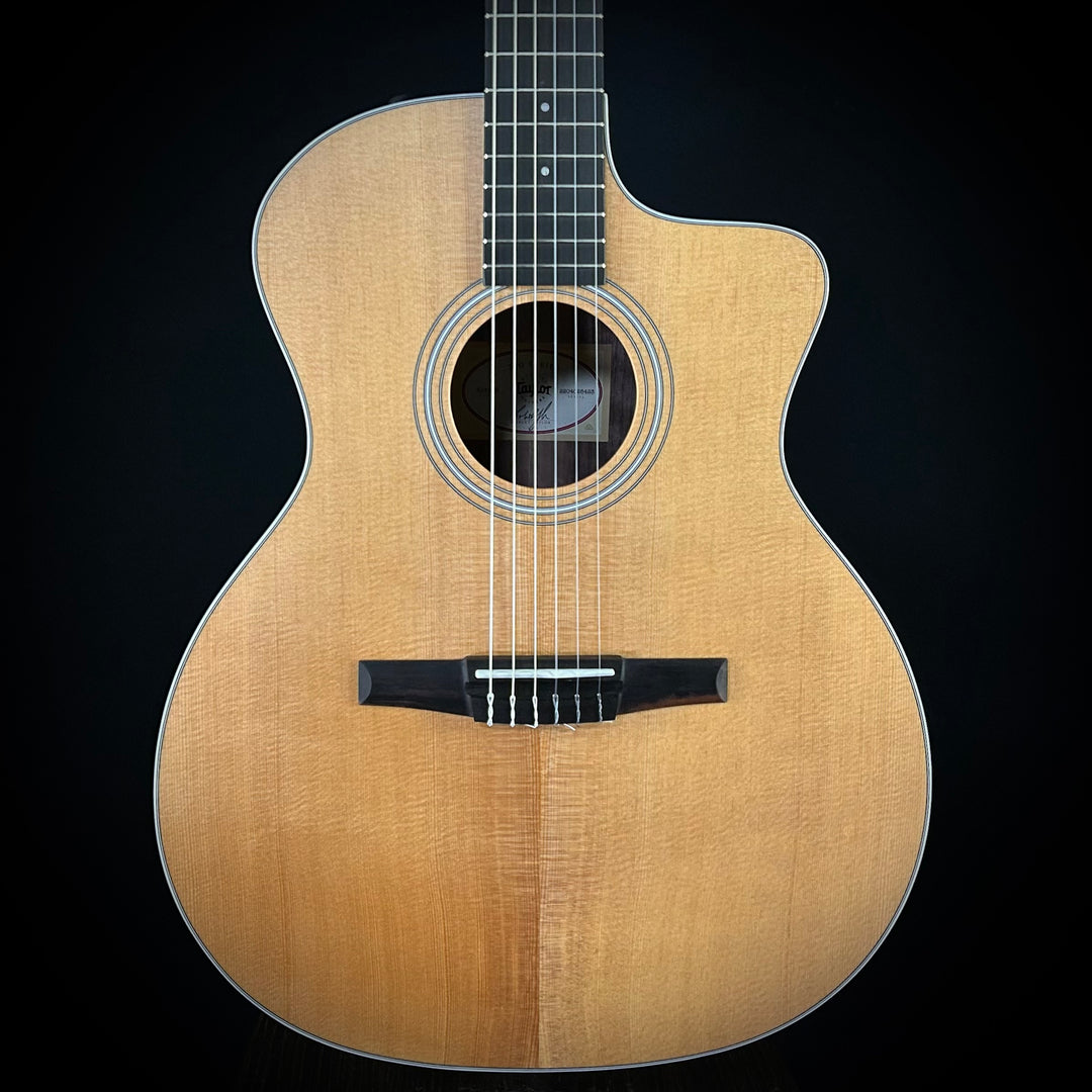 Taylor 214CE - Nylon