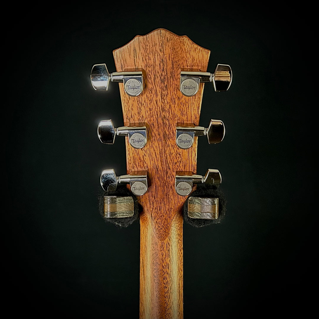 Taylor Gold Label 517E-SB