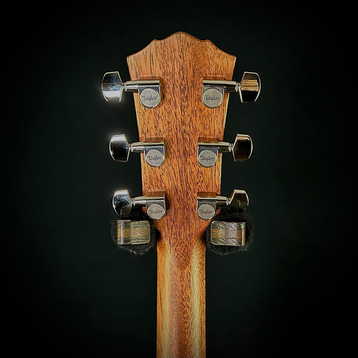 Taylor Gold Label 517E-SB
