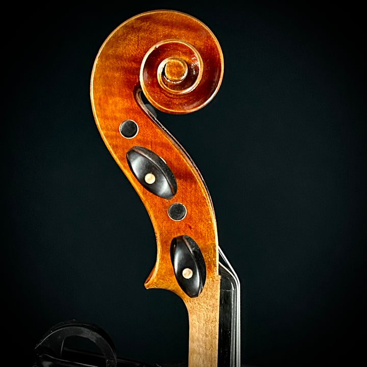 Maple leaf Haddock 16” Viola