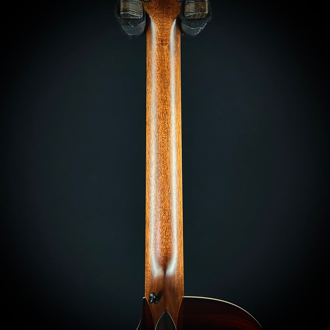 Taylor 814CE LTD - Cocobolo