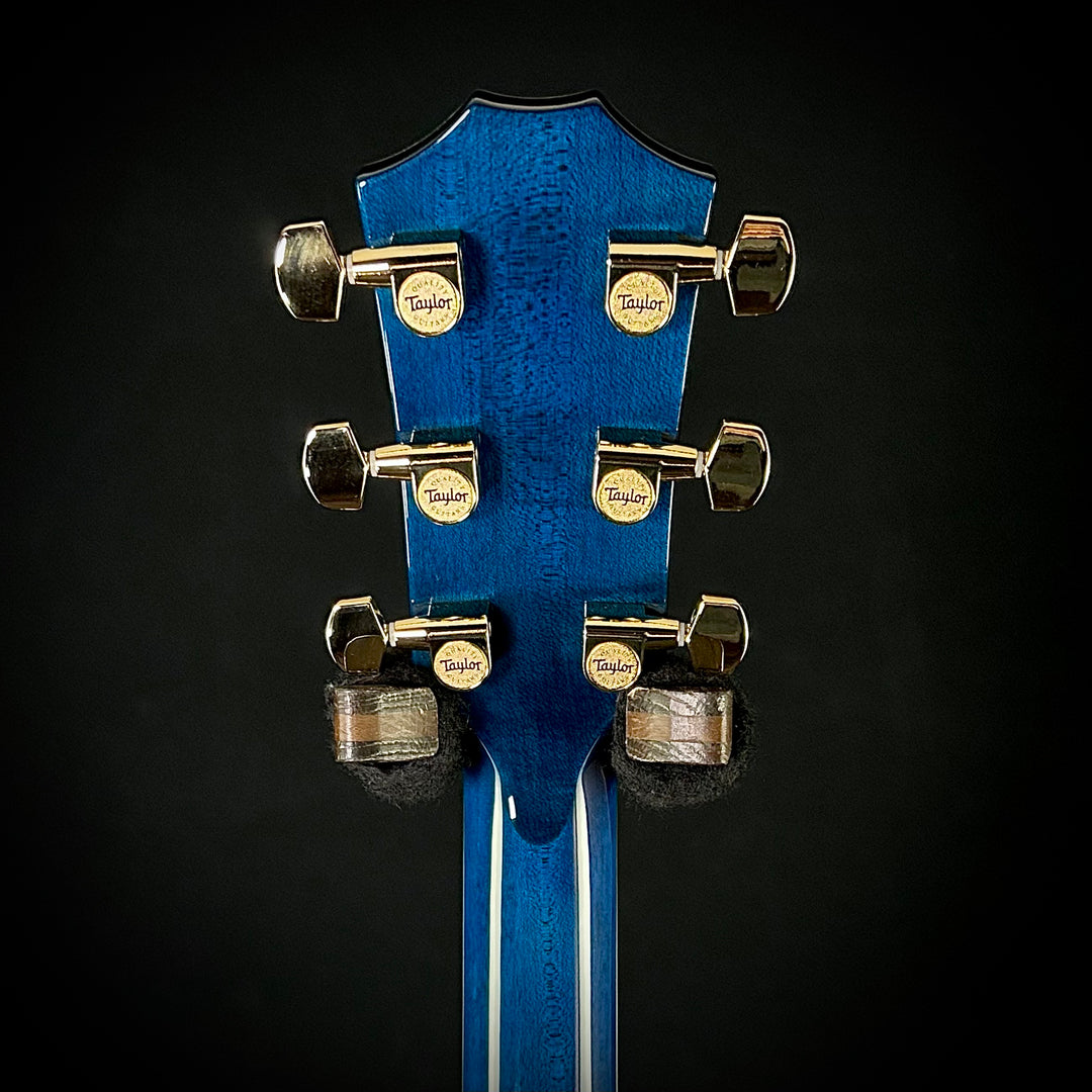Taylor Custom #41 C17e Grand Pacific Living Jewels & Matching Circa 74 Amp