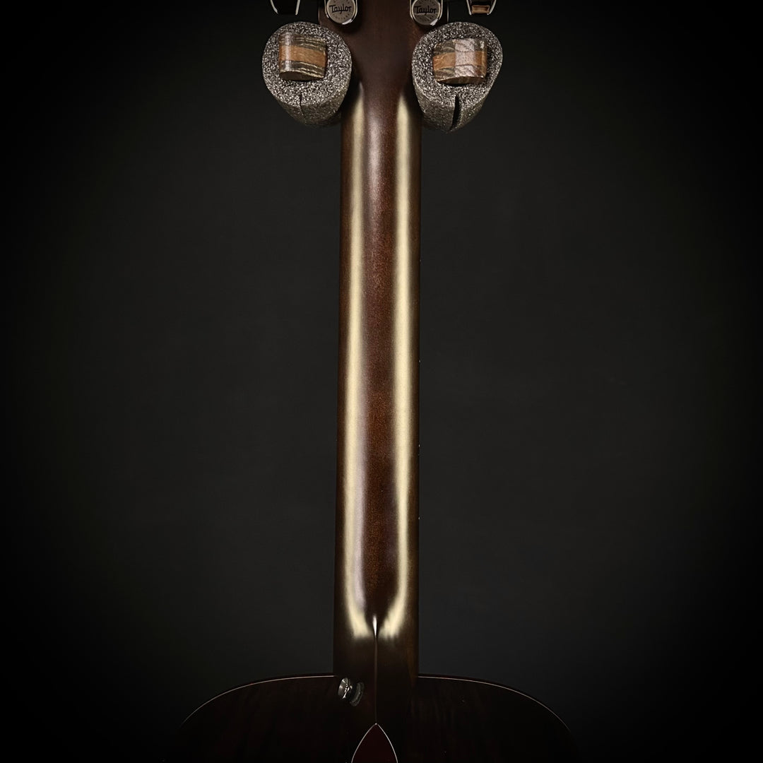 Taylor Custom Gold Label - Grand Concert