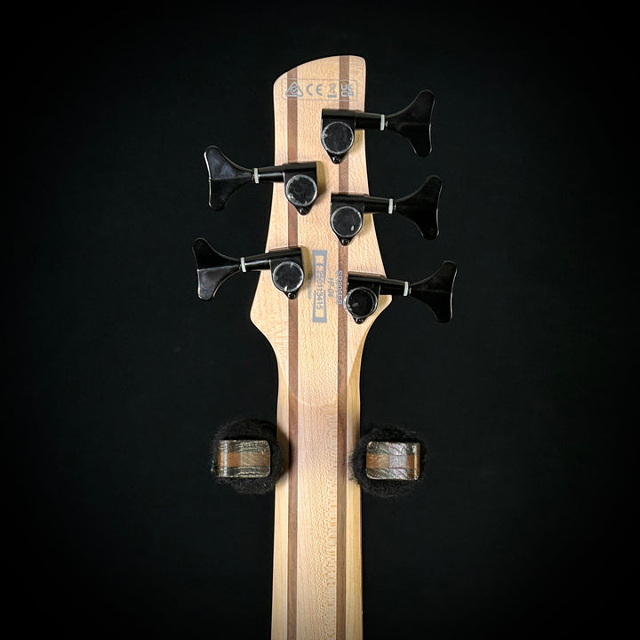 Ibanez SR305