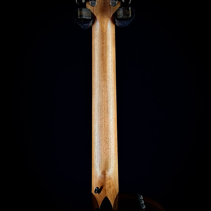 Taylor 254ce Plus - 12-String