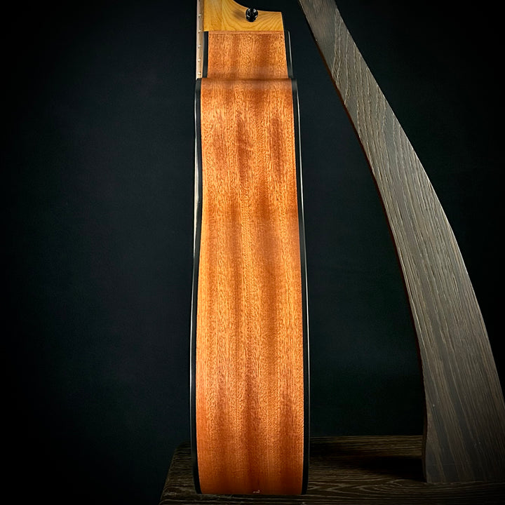 Taylor 114ce - Sapele