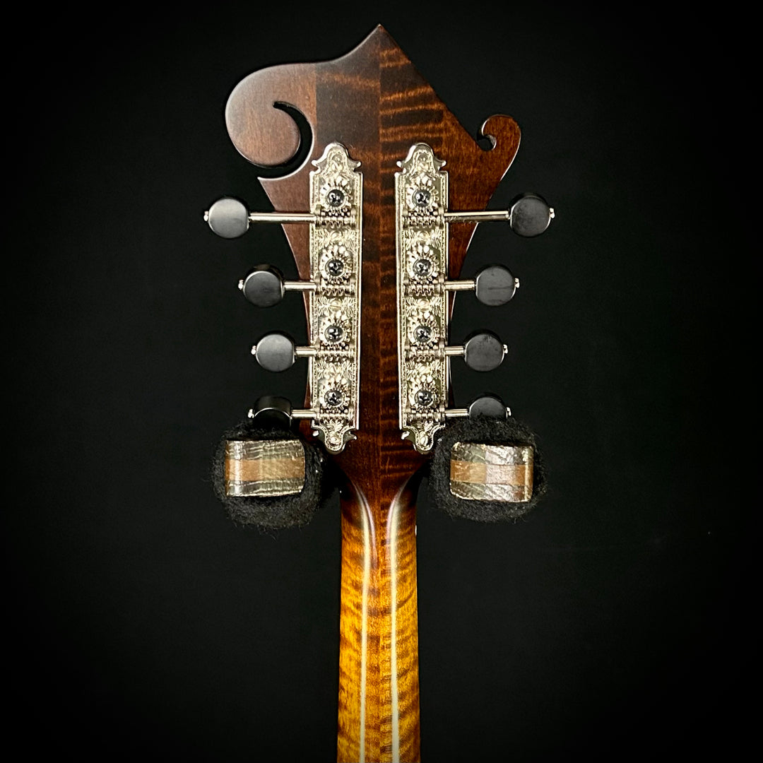 Northfield NFS-F5 - Adirondack Spruce