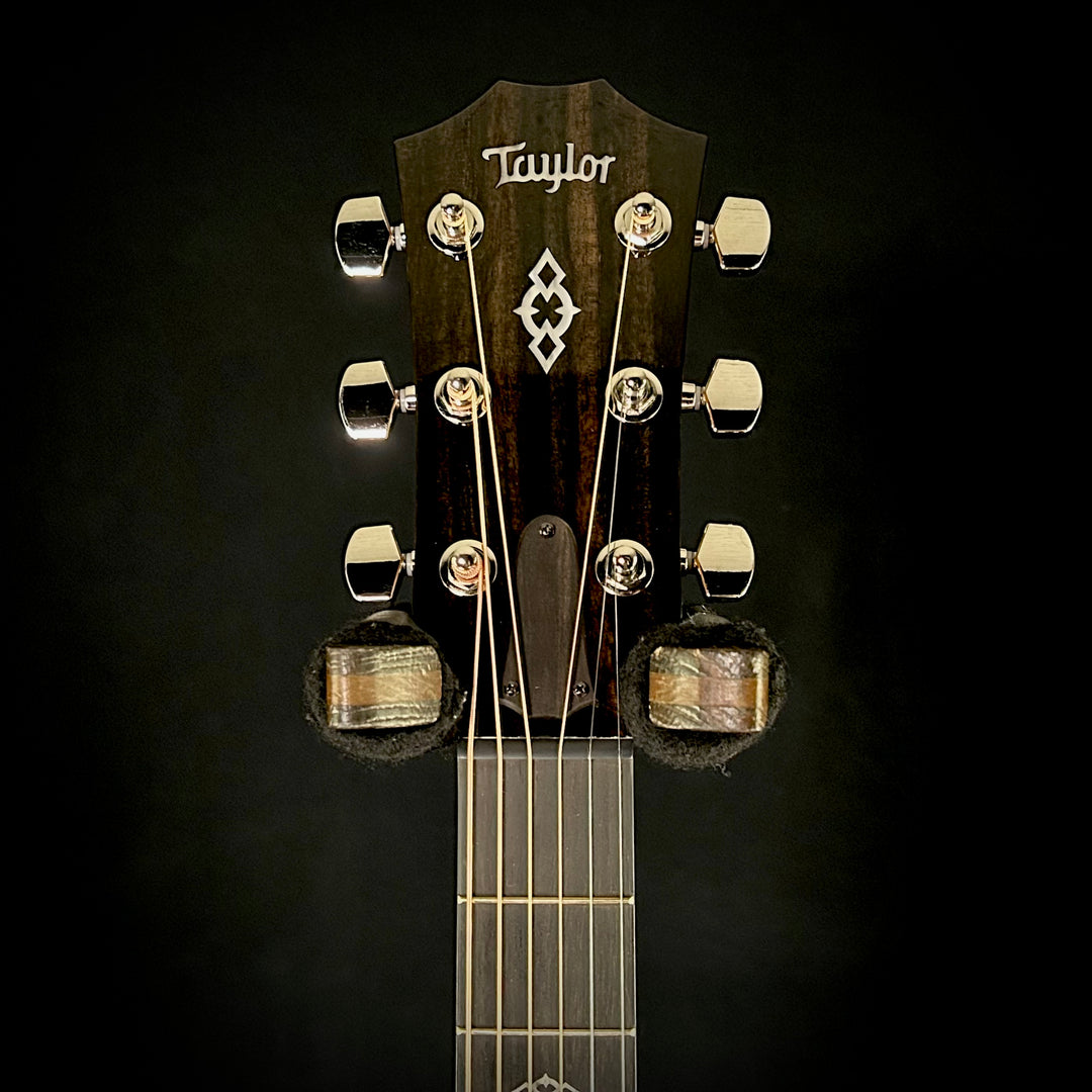 Taylor Next Generation 514ce