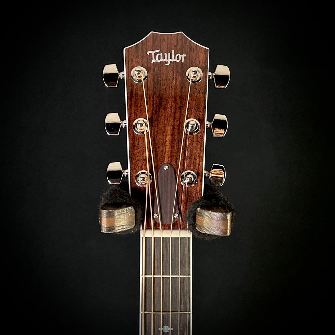Taylor Legacy 810e