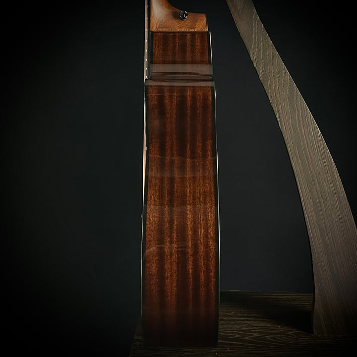 Taylor Next Generation 314ce