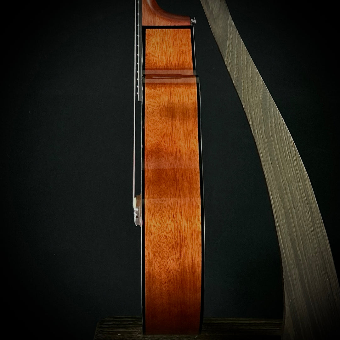 Yamaha NT-X1 Electric Nylon String Slim Neck