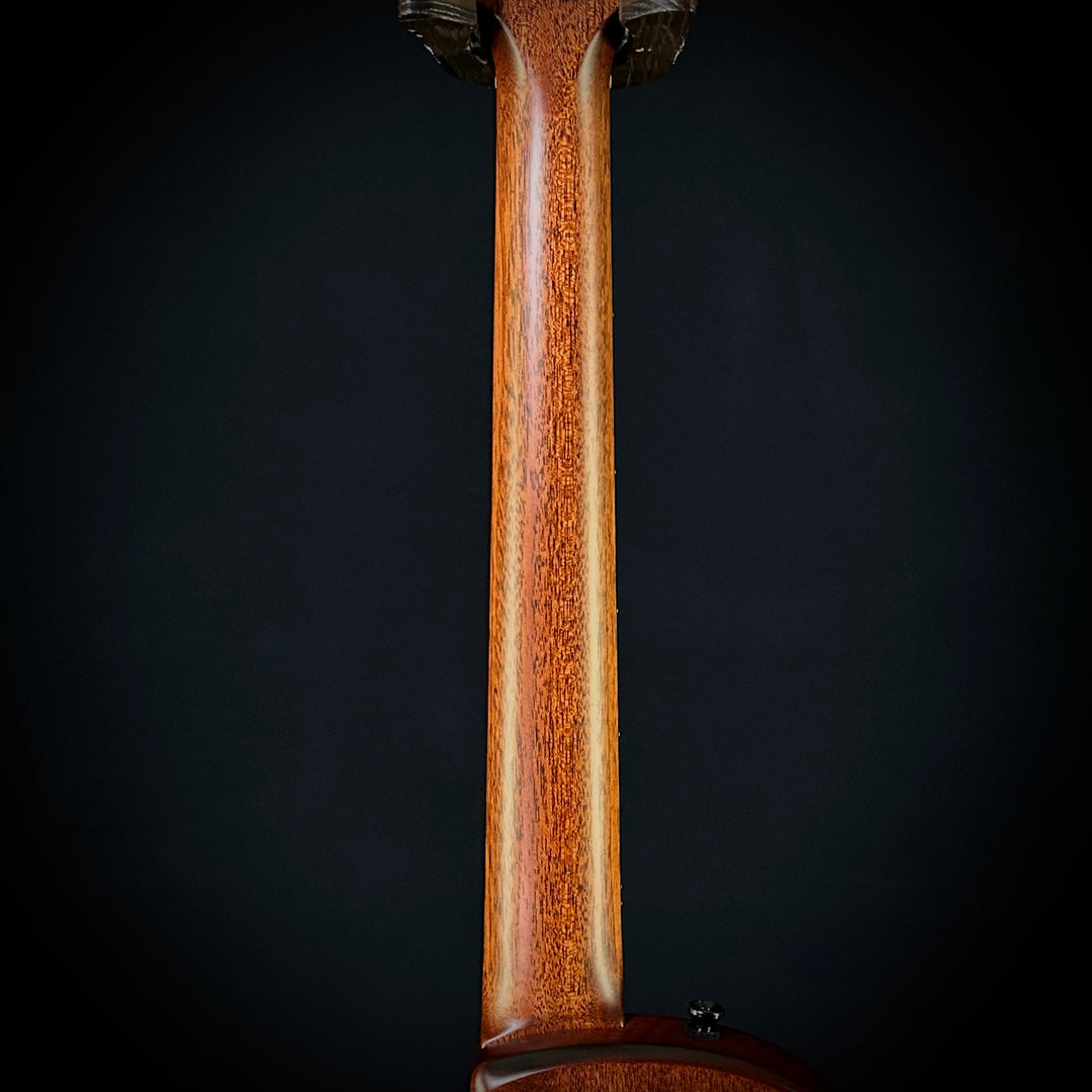 Taylor T5Z Classic - Mahogany