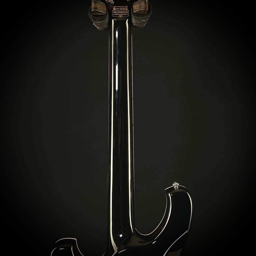 Schecter Stargazer 12