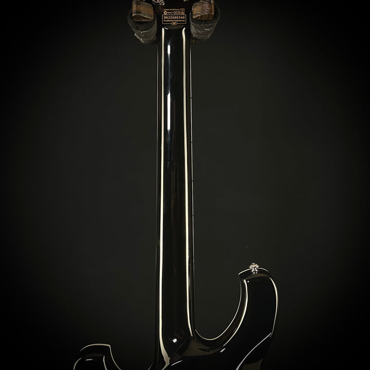 Schecter Stargazer 12