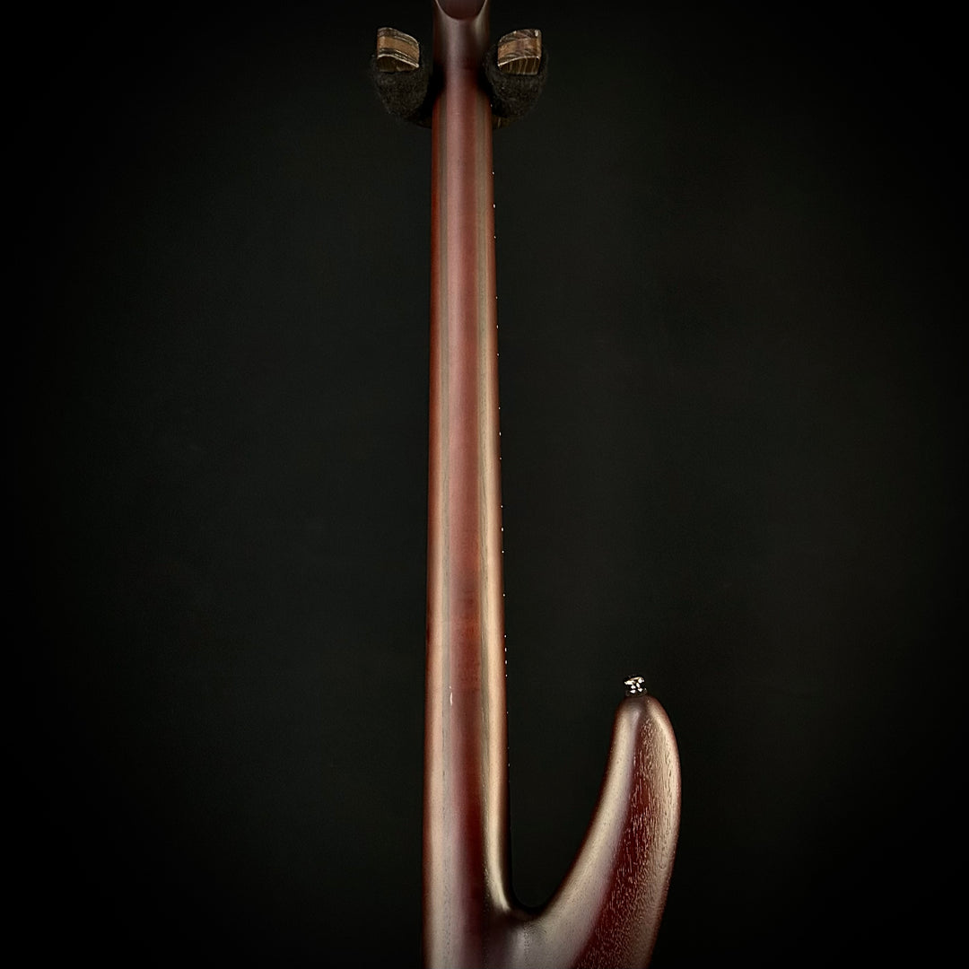 Ibanez SRF700 Fretless Bass