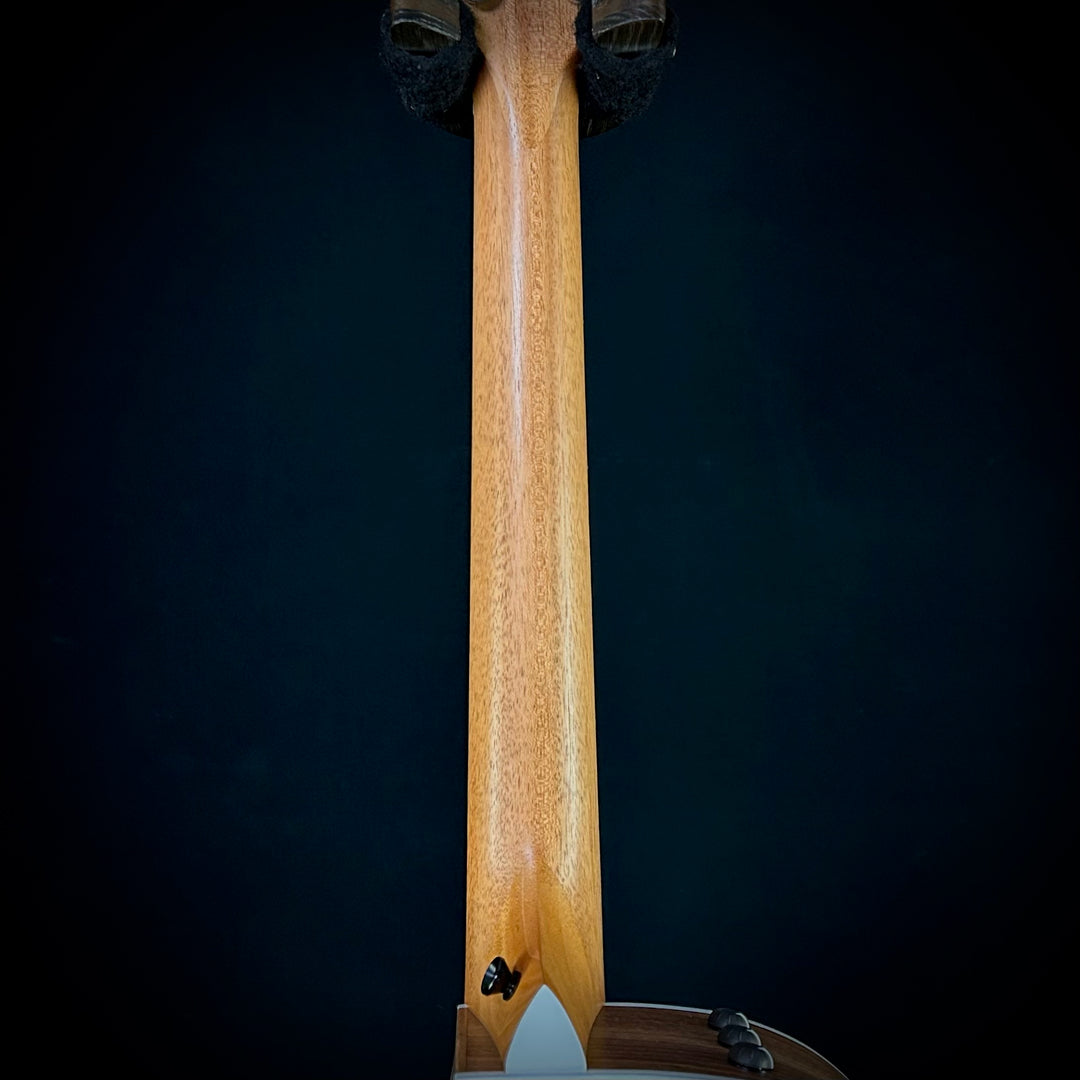 Taylor 212CE - Torrefied Spruce