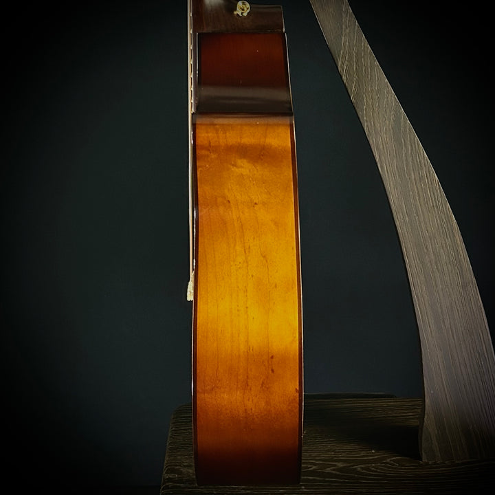 Martin 2024 GPCE Inception (USED)