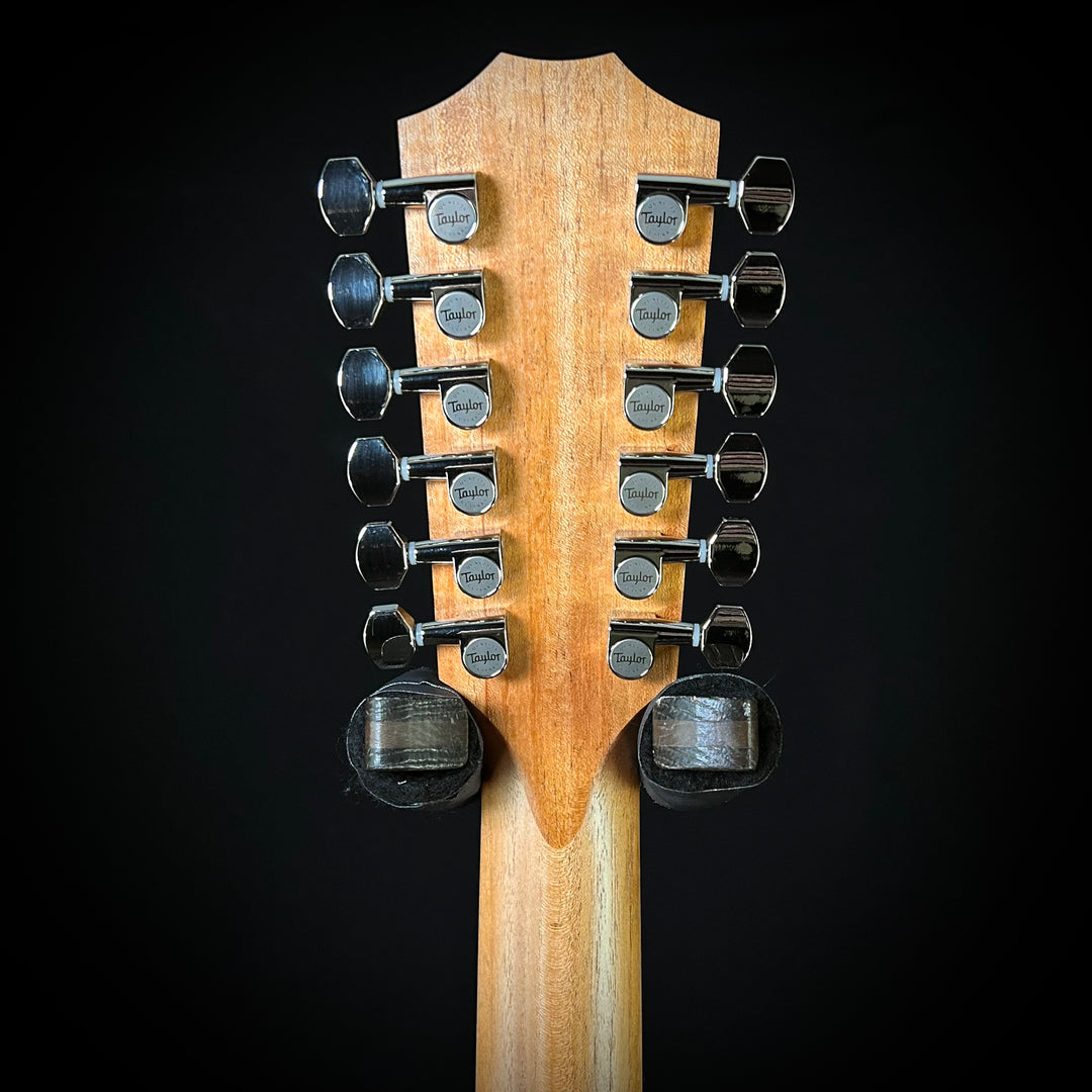 Taylor 254ce Plus - 12-String