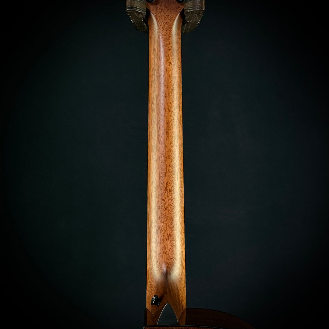 Taylor MV Custom 9-String - Grand Auditorium