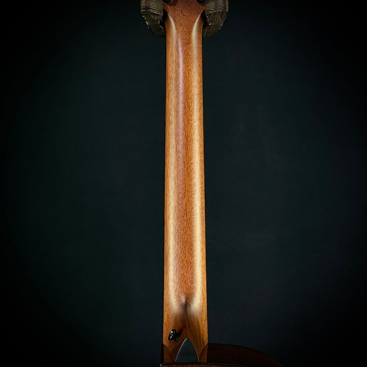 Taylor MV Custom 9-String - Grand Auditorium