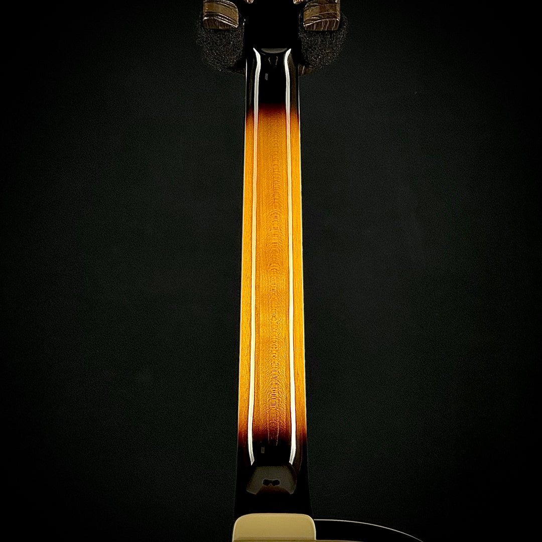 Ibanez Artcore Expressionist AF95FM