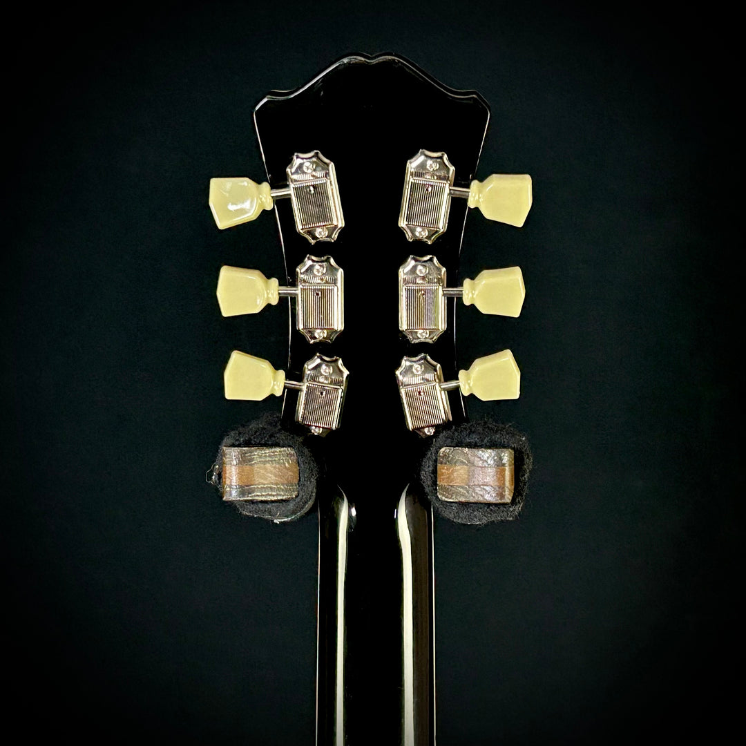 Eastman T486B