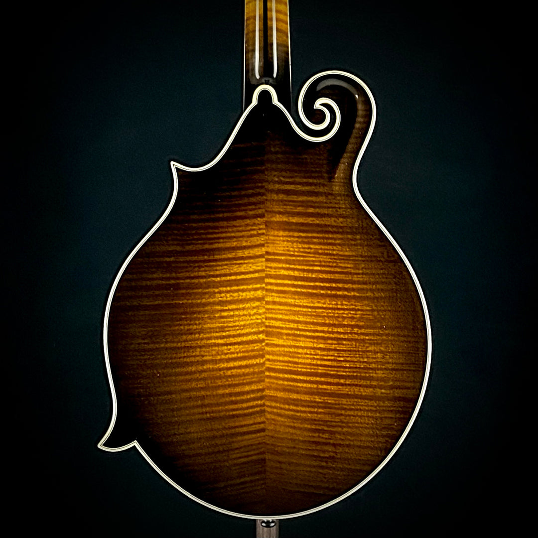 Bourgeois M5-F Sunburst